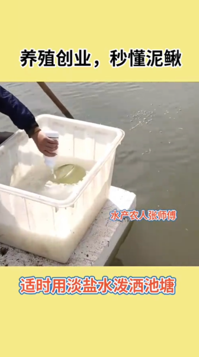 水花鱼苗养殖技术视频。  