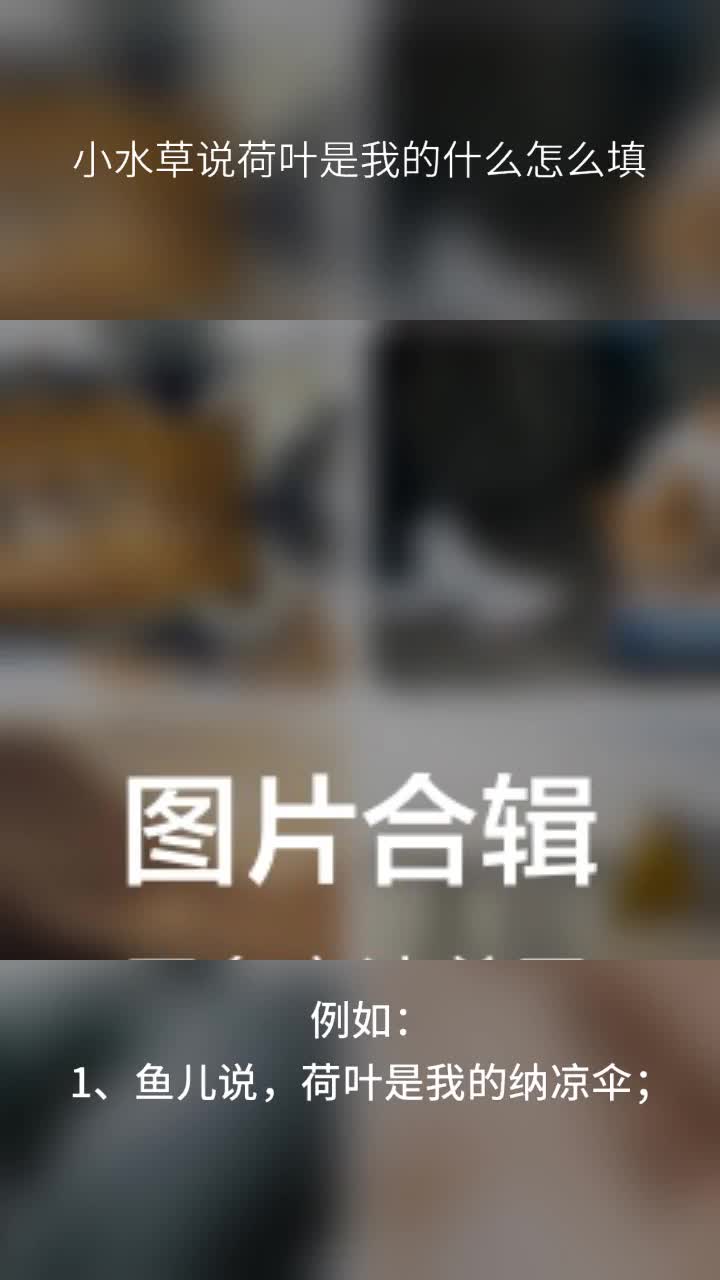 小水草说荷叶是我的什么怎么填