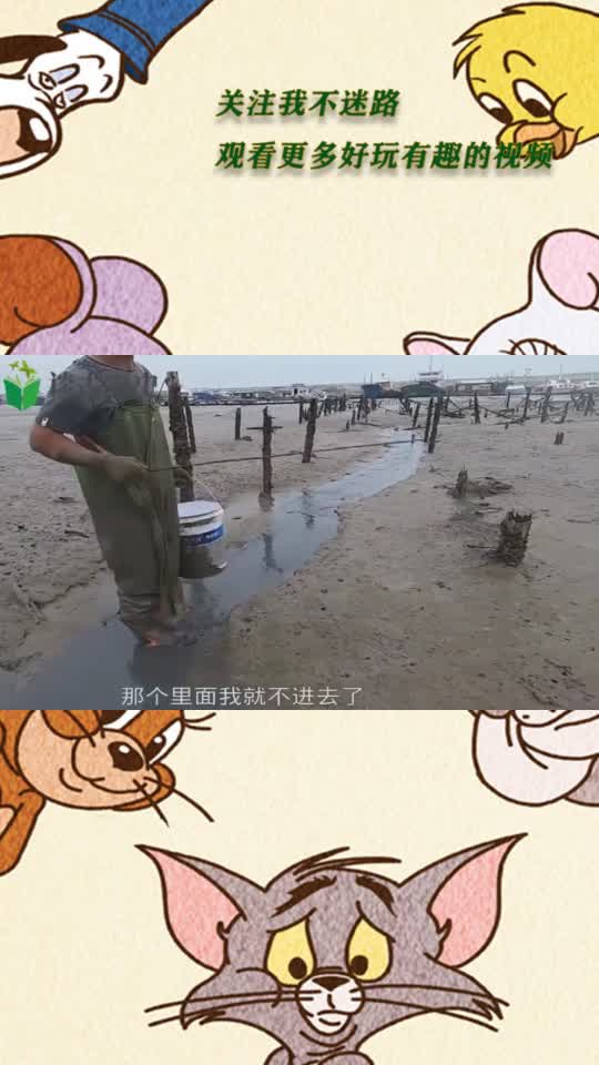 鲨鱼被猛浪打上烂泥地 ,来叔赶海财运爆发,抓到这片区域的蟹王