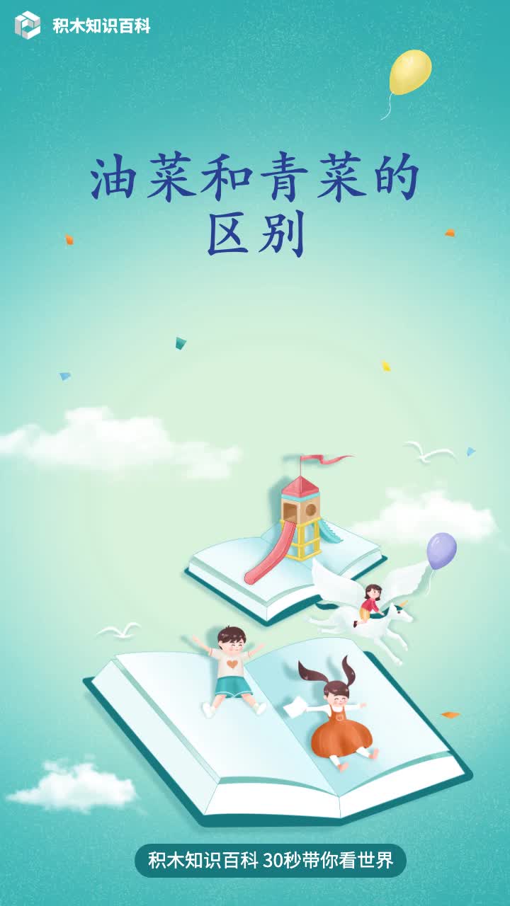 油菜和青菜的区别