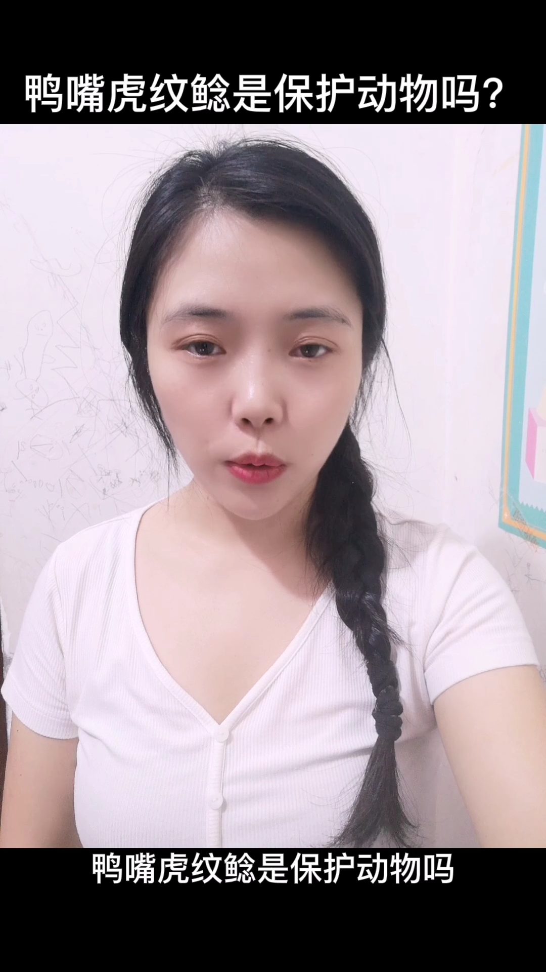 鸭嘴虎纹鲶是保护动物吗?