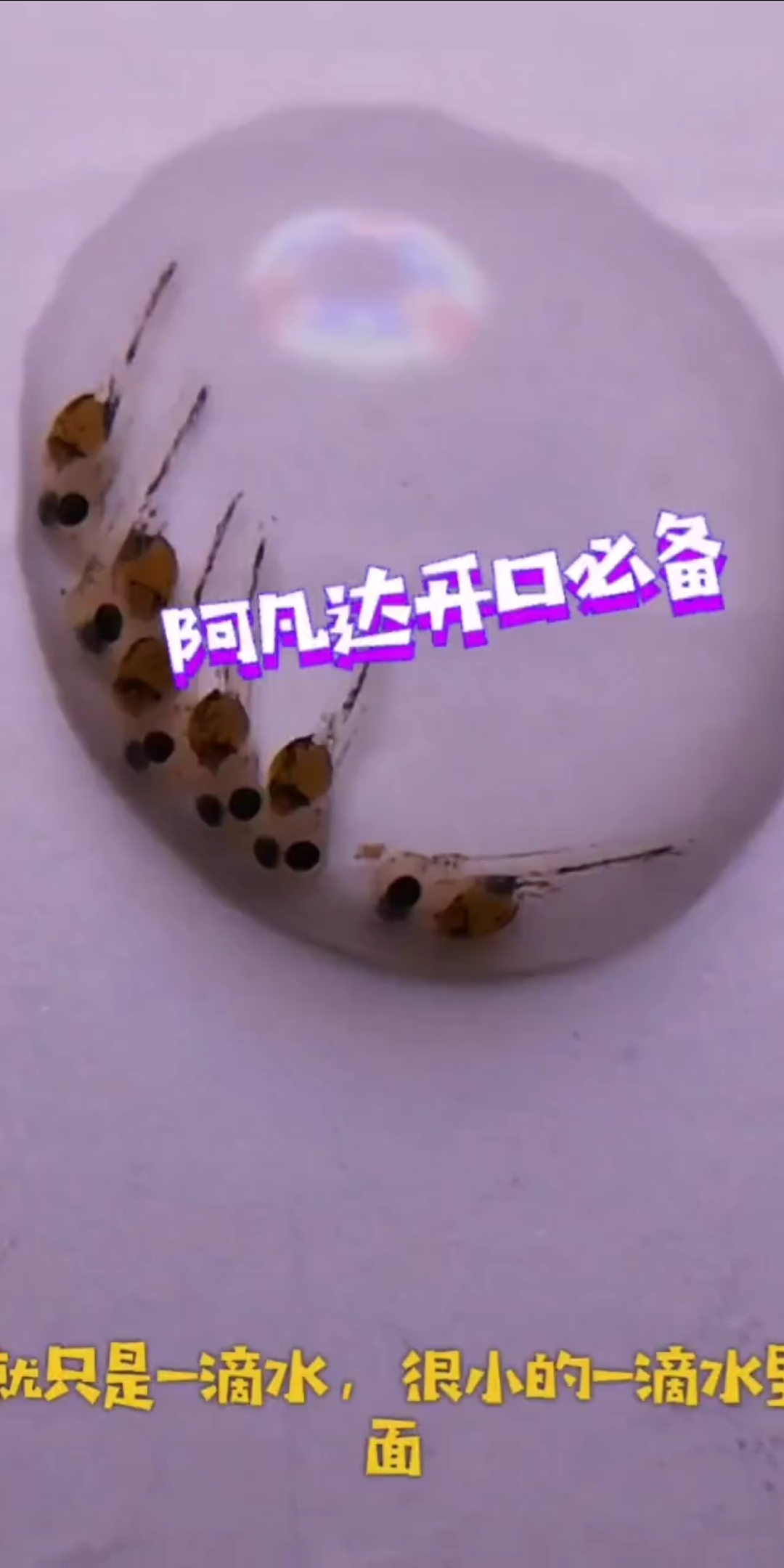 阿凡达开口必备。就只是一滴水,银小的一滴水面