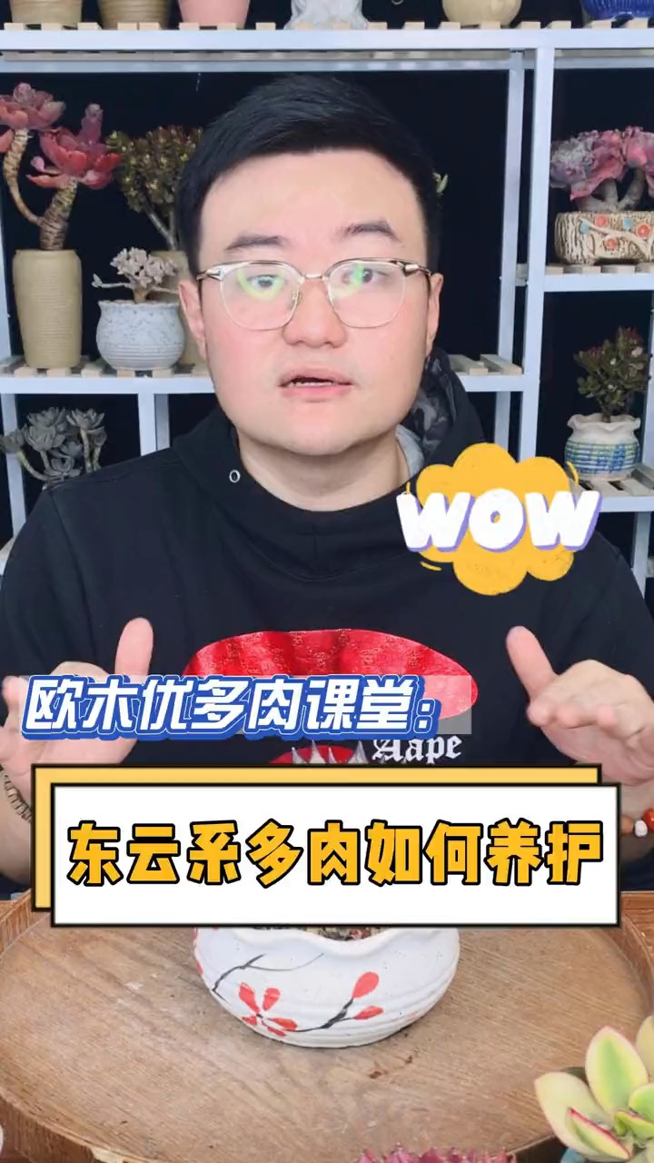 东云系多肉如何控的叶片短圆肥?如何出颜色和状态?这个视频告诉你#多肉#