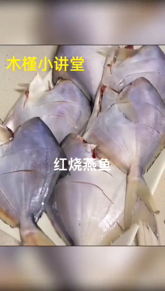 红烧燕鱼的家常做法