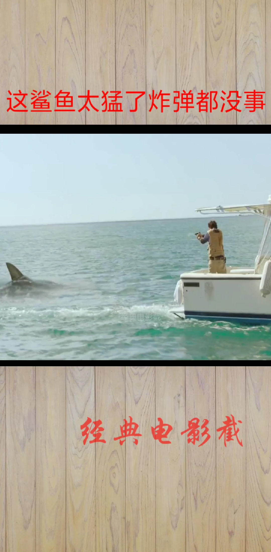 #返程行李箱#被一条大鲨鱼追着不放