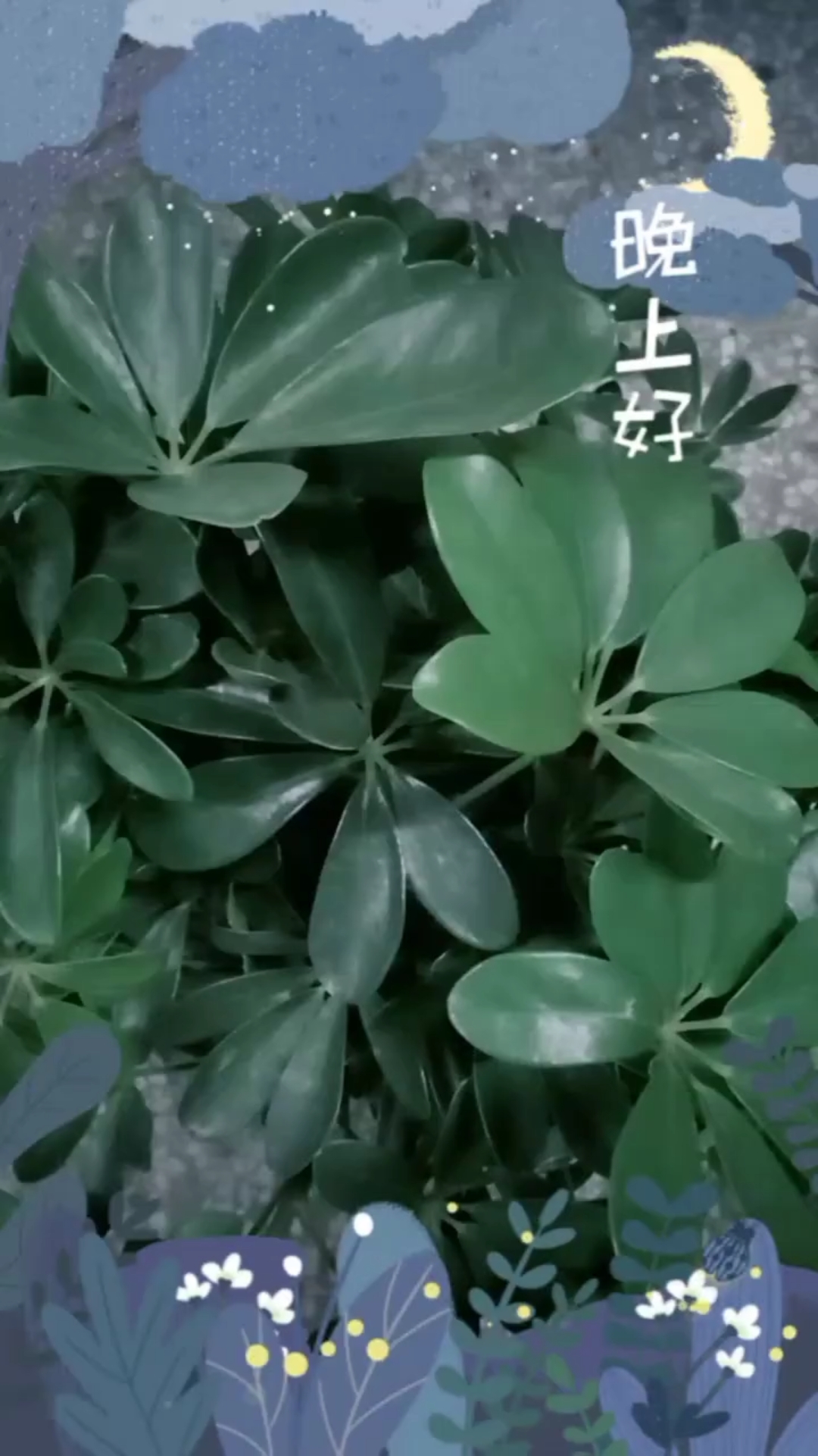 花友们一起来听歌