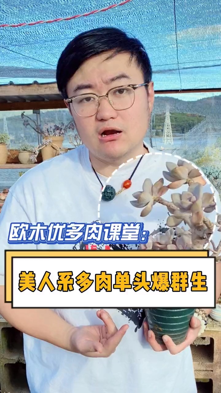 除了有些很难爆头的品种,其余的多肉撸叶片比不撸叶片更容易爆崽崽#多肉#多肉植物#