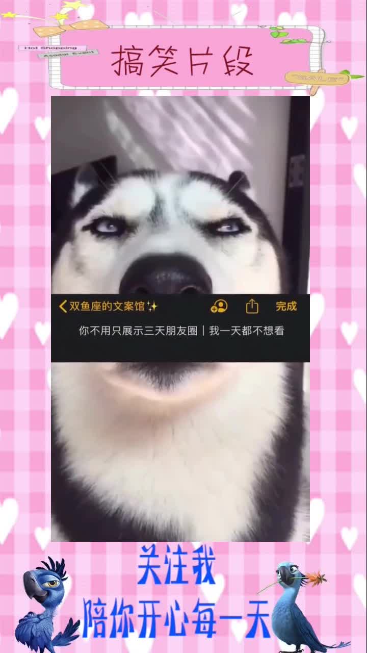 欢迎大家点亮爱心,关注我1#搞笑视频#