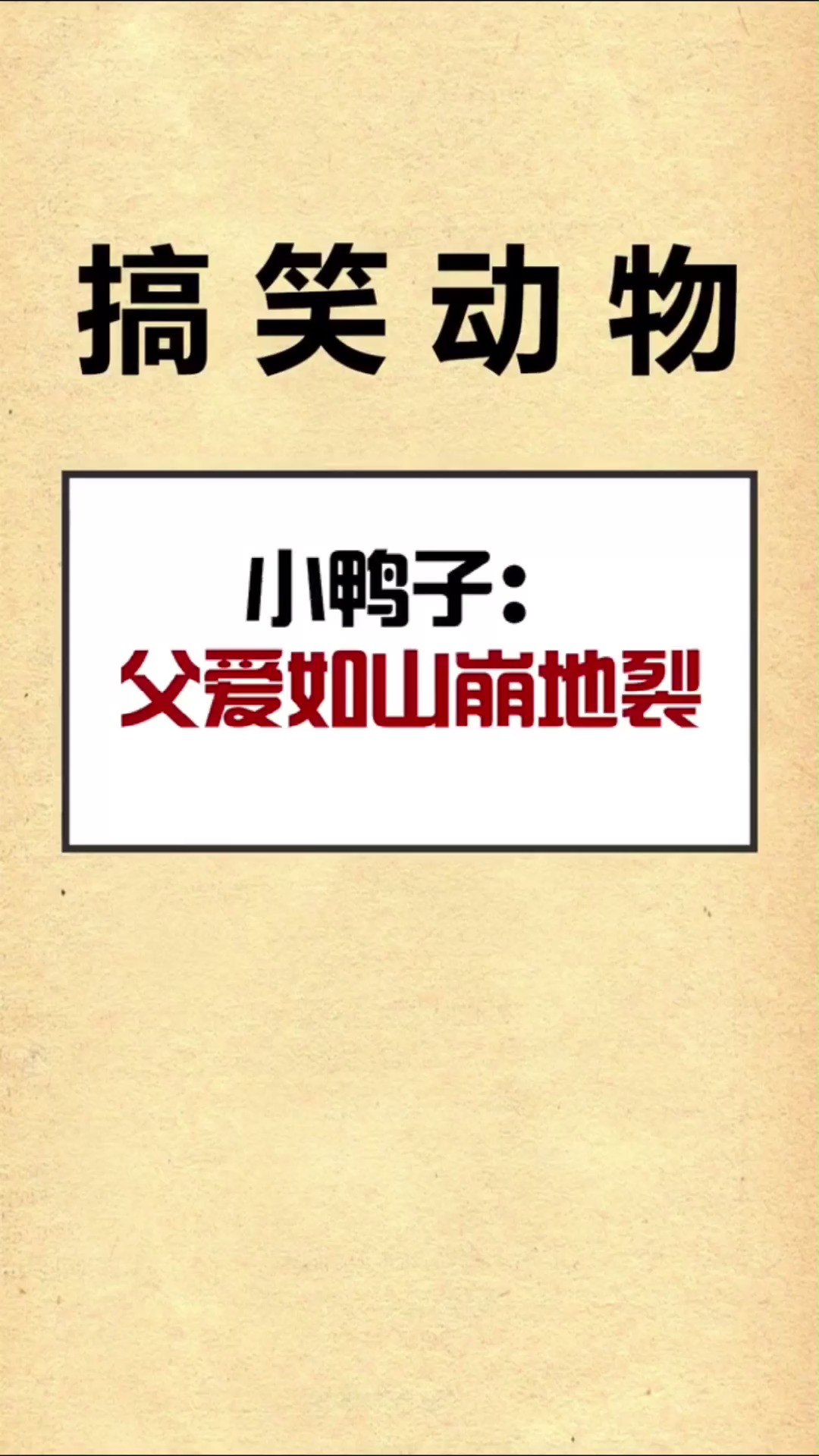 #宠物最可爱的样子#小鸭子:父爱如山崩地裂