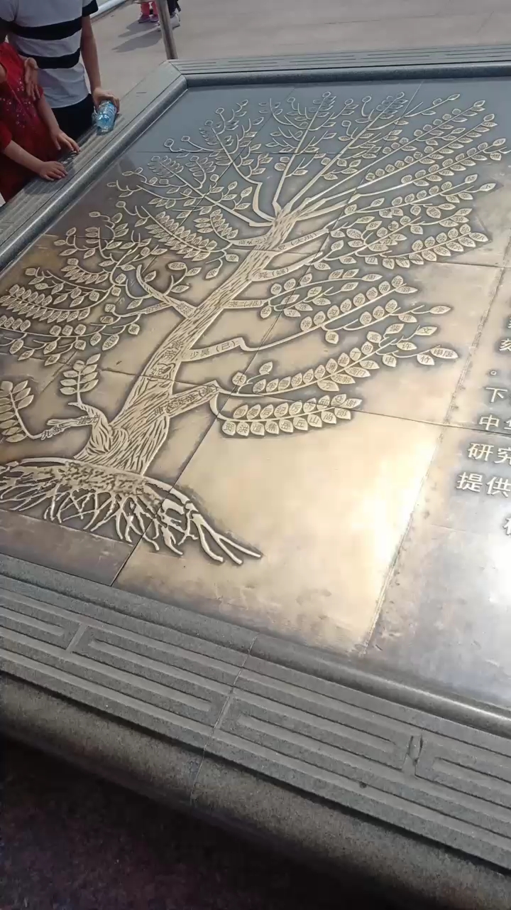 期待明天……