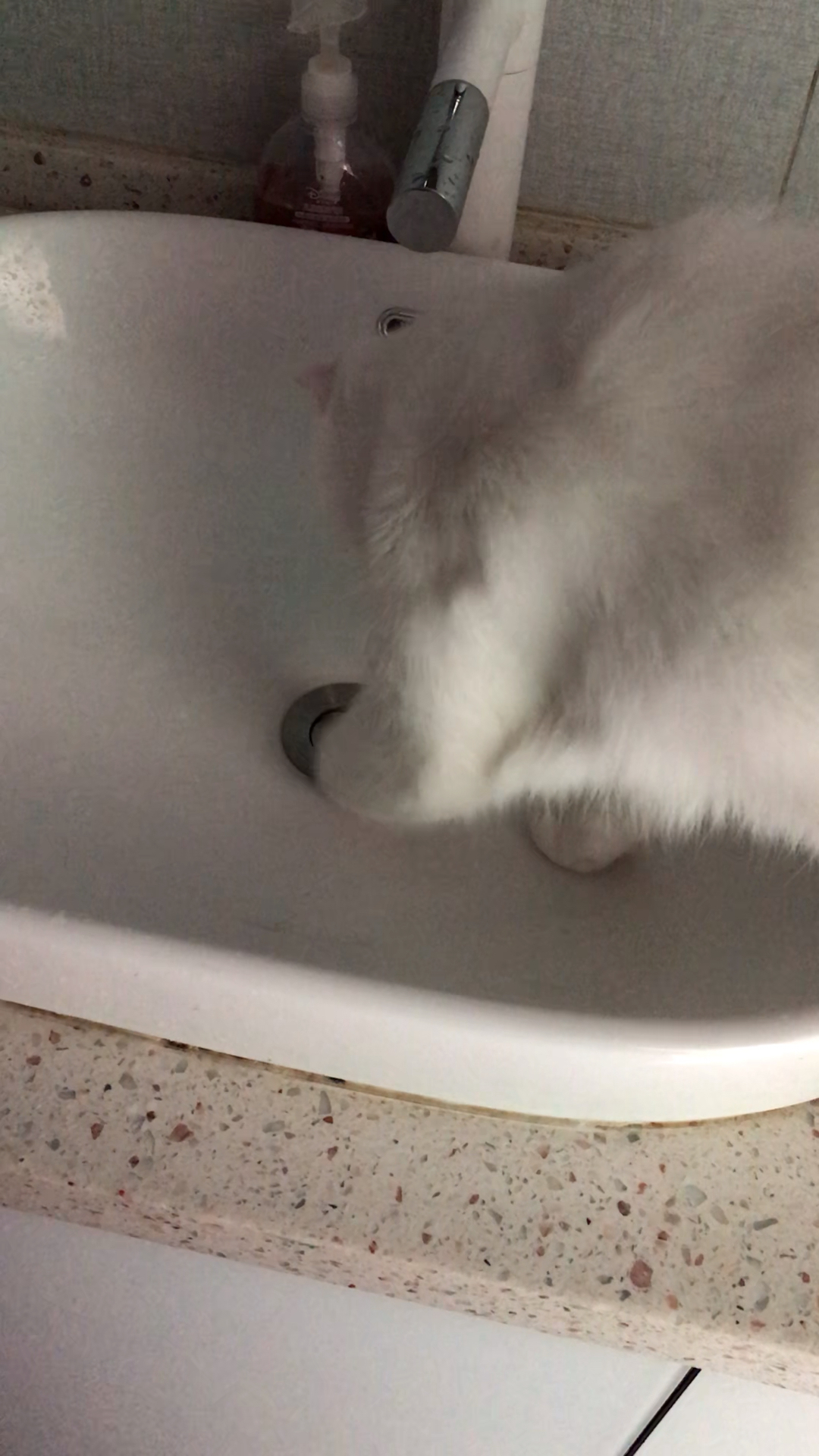 水呢。水呢。水呢。给我吐回来。宝宝还没喝够呢。