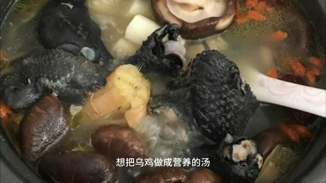 如何炖乌鸡汤好喝又营养
