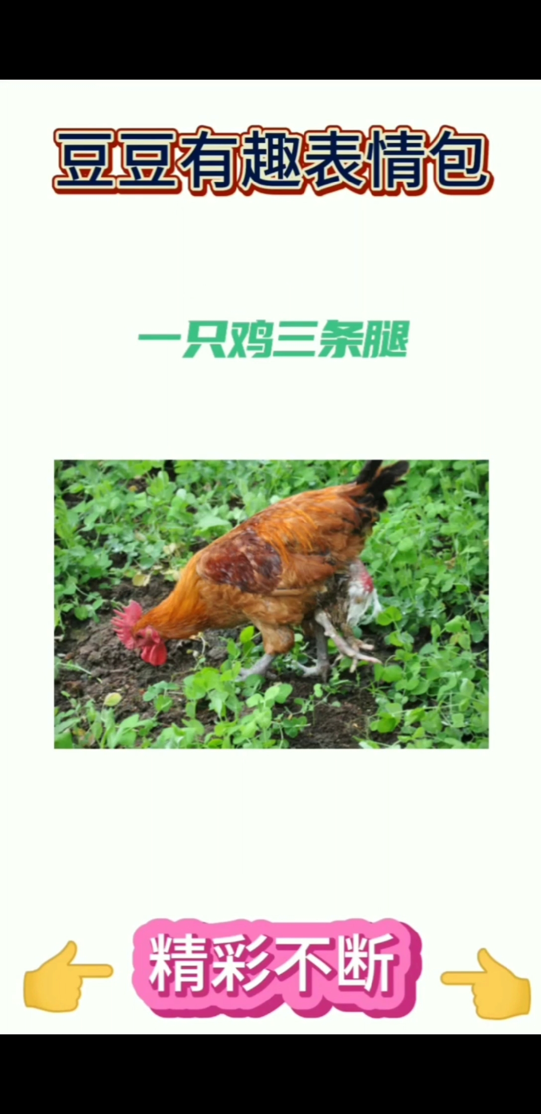 #我搞笑你开心#吹牛的最高境界