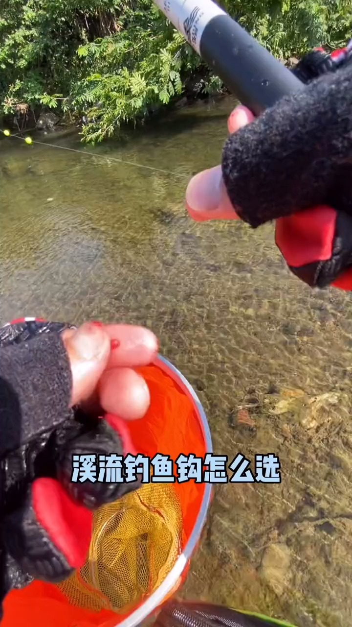 溪流钓鱼钩,金袖和秋田狐你们喜欢哪个?