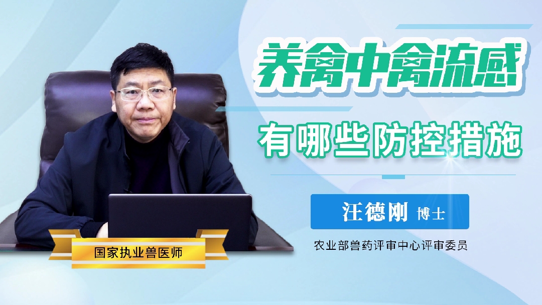 养禽中禽流感的发生有哪些防控措施