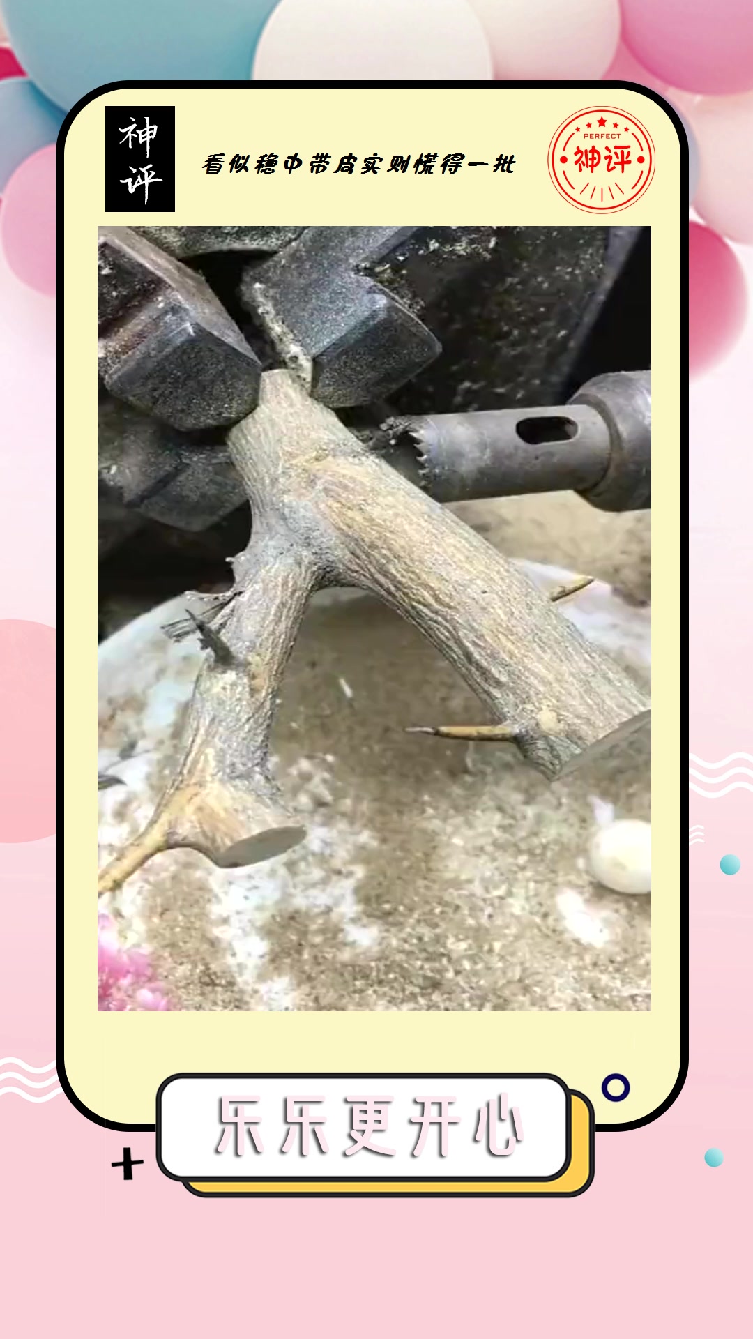 #搞笑#水果树枝盘珠子你能看出来这是什么品种的水果树吗