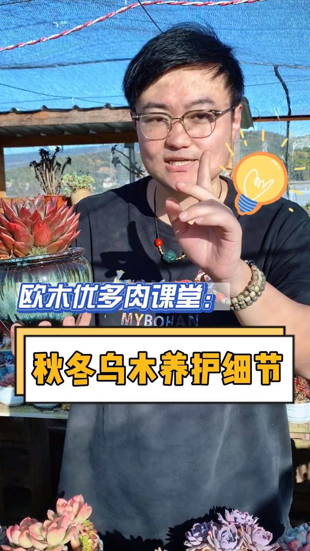 秋冬想要乌木出颜色出状态,要注意这几点细节!学会的点赞收藏#多肉#多肉植物#