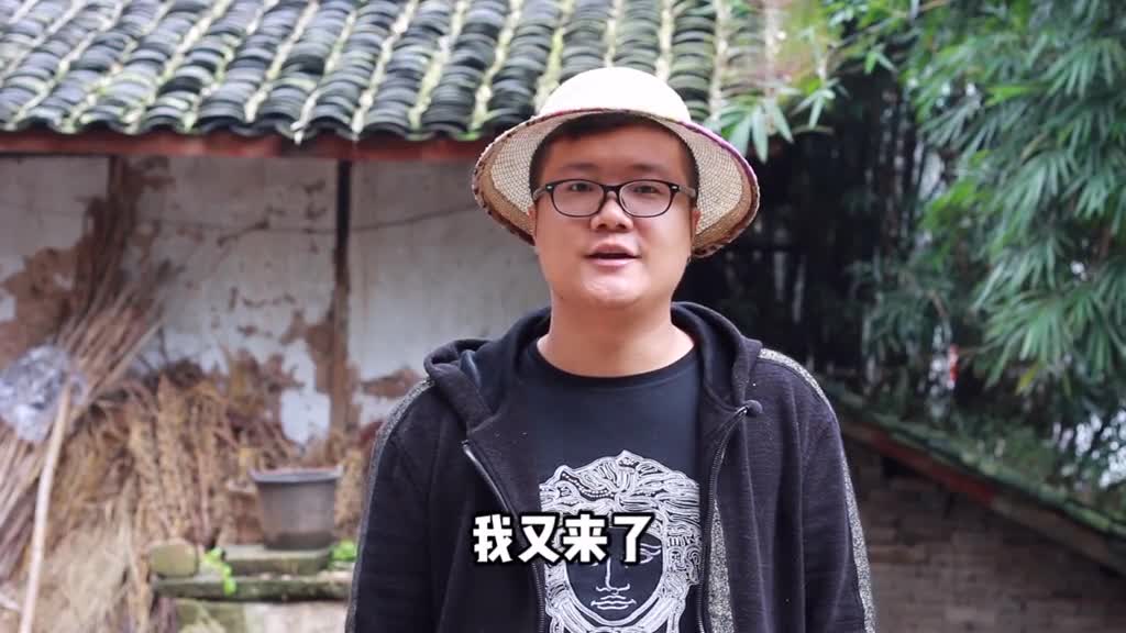 分分钟教你泡椒鸡杂的正宗做法配上酸豆角超级下饭过瘾