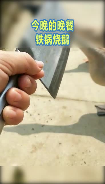 #奇趣#今晚的晚餐,铁锅烧鹅