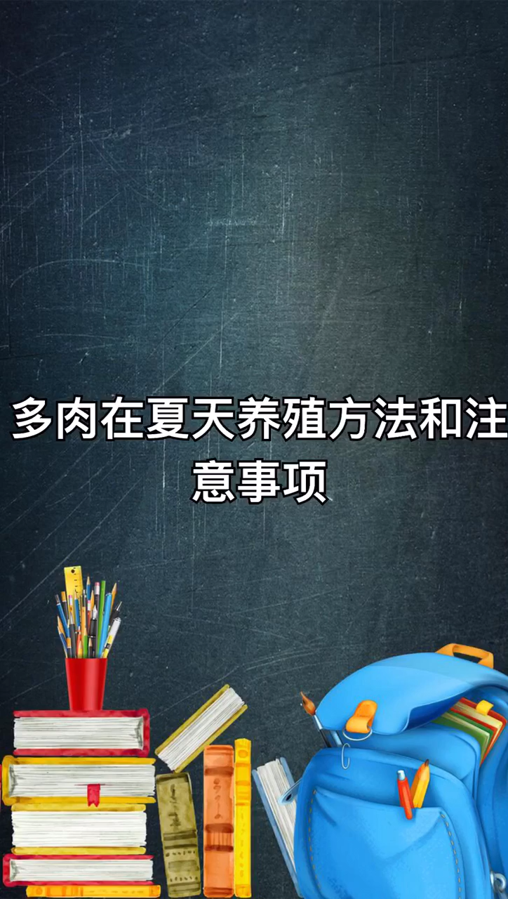多肉夏天的养殖方法和注意事项。