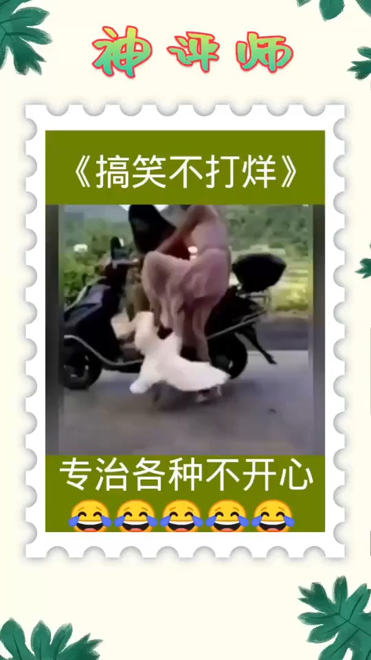 #搞笑视频#一只有想法的大鹅。