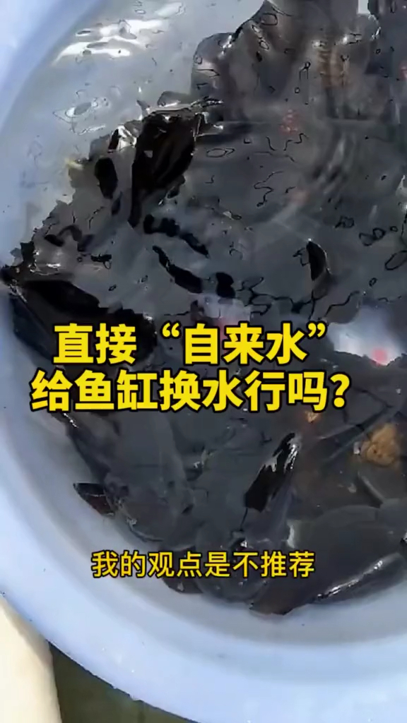 自来水直接给鱼缸换水行吗