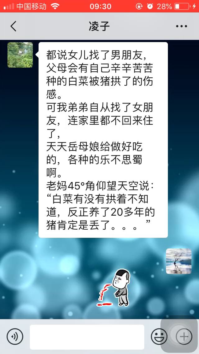 我家的猪去哪了?哈哈哈