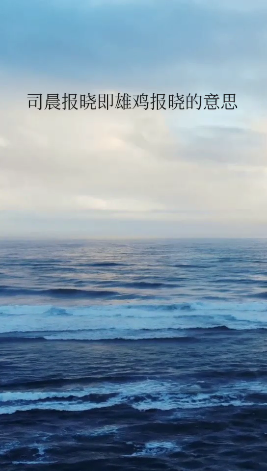 司震报晓是什么意思