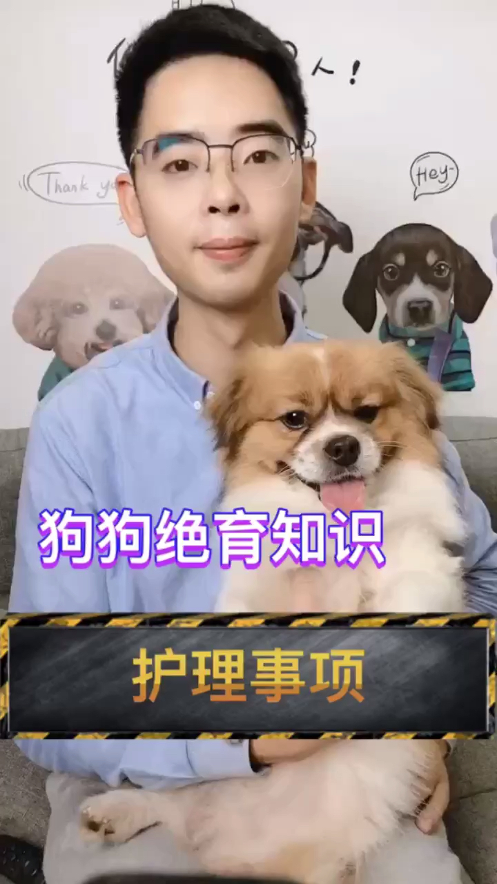 #家有汪星人#或许你的一个点赞,一个转发就能挽救一个汪星人的命运