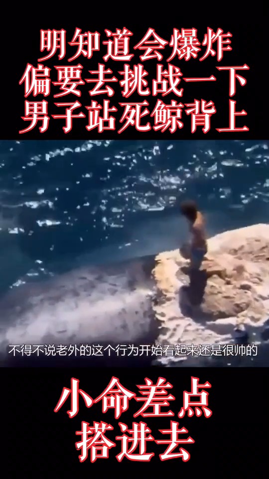 动物的世界
