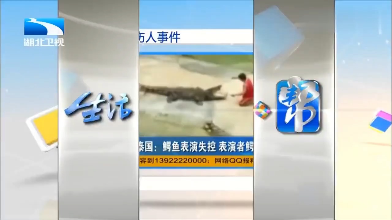 生活帮:鳄鱼十分凶猛,攻击速度居然能达到每小时一百一十六公里