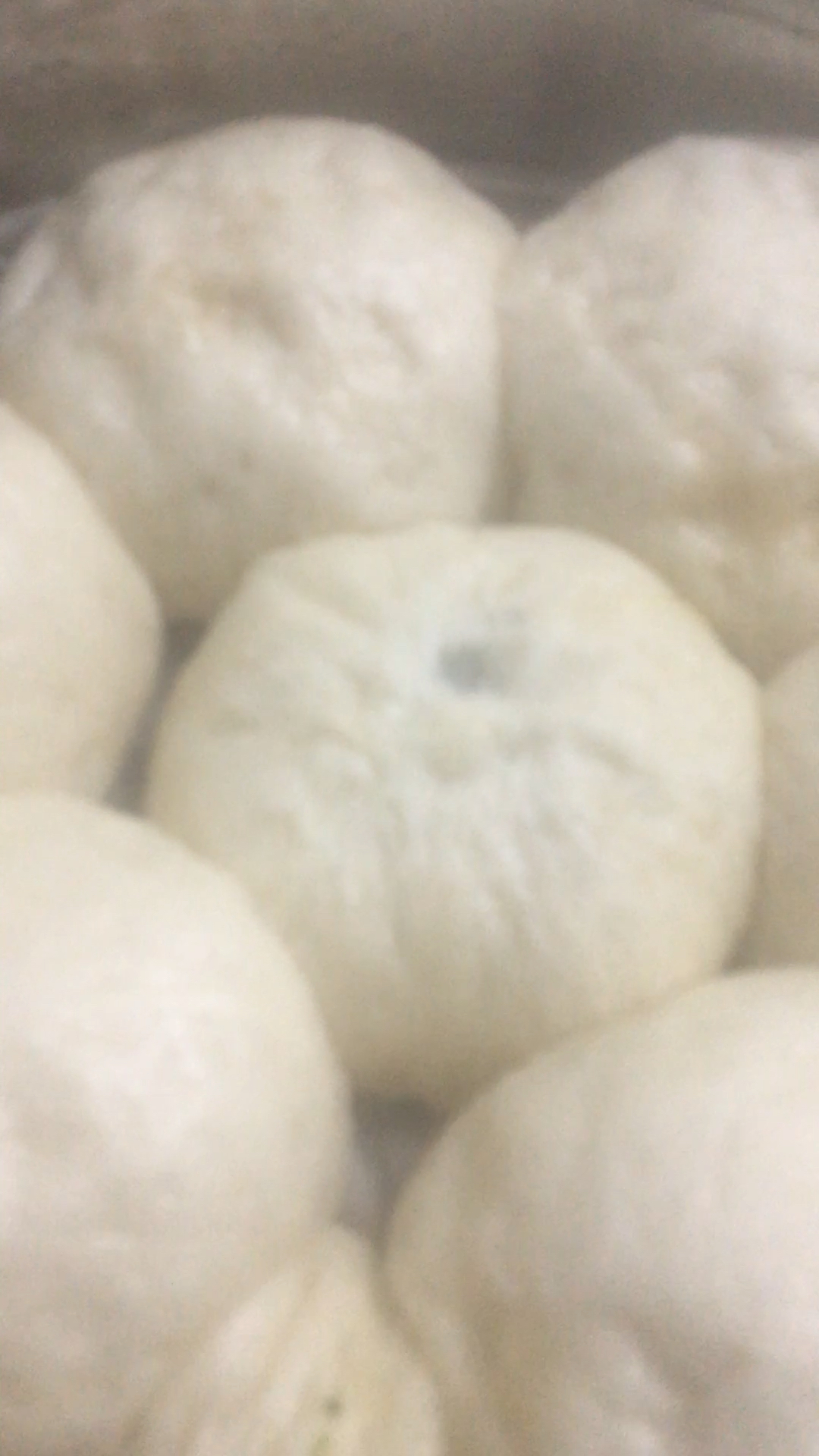 第一次包的包子和馒头