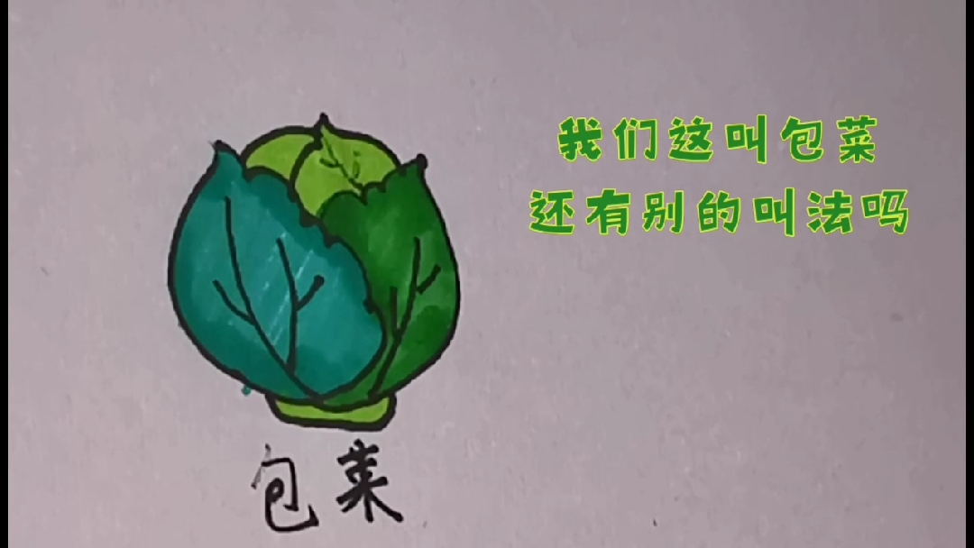 #画画原来如此简单#趣味简笔画之包菜