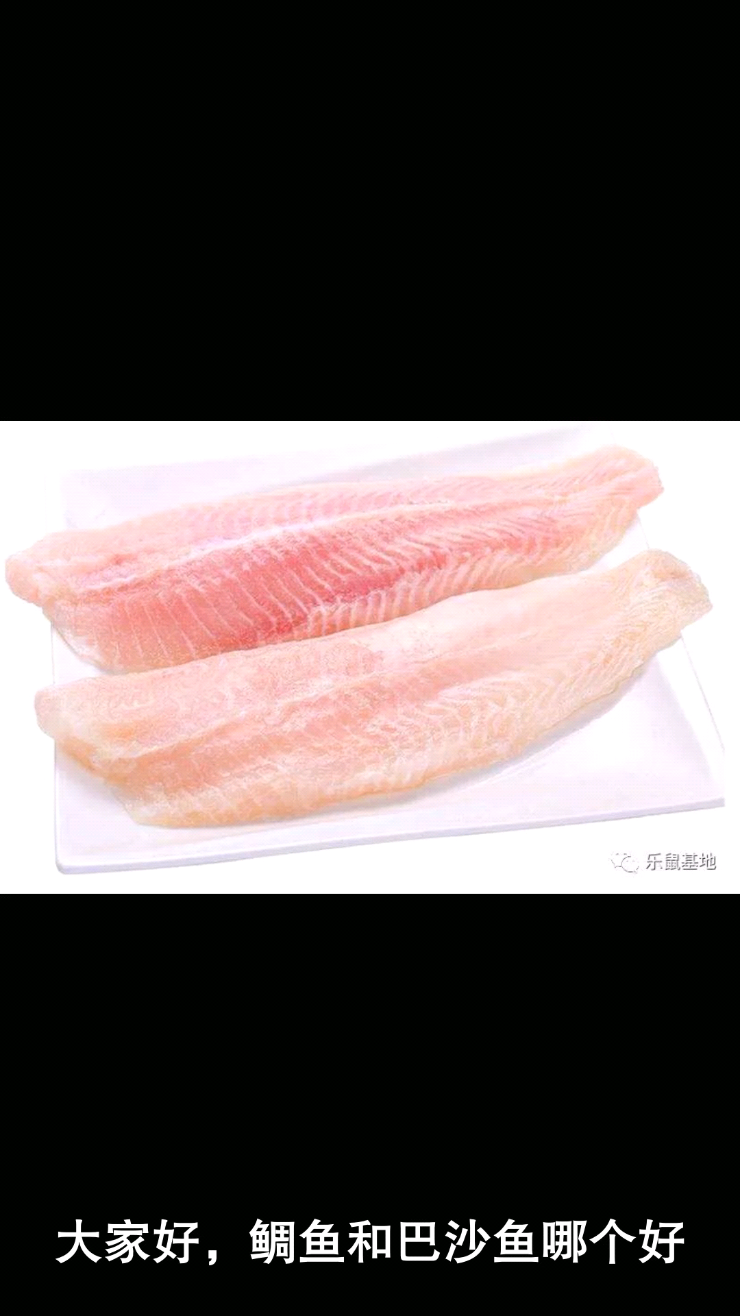  鲷鱼和巴沙鱼哪个好