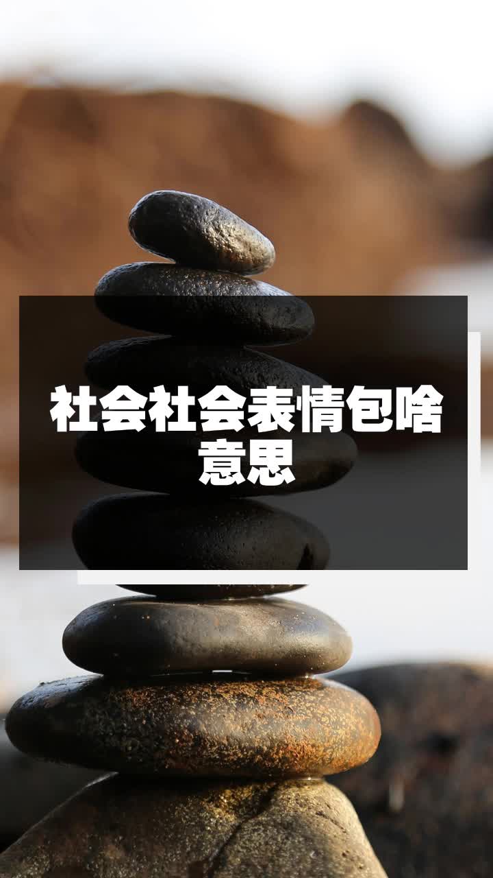 社会社会表情包啥意思
