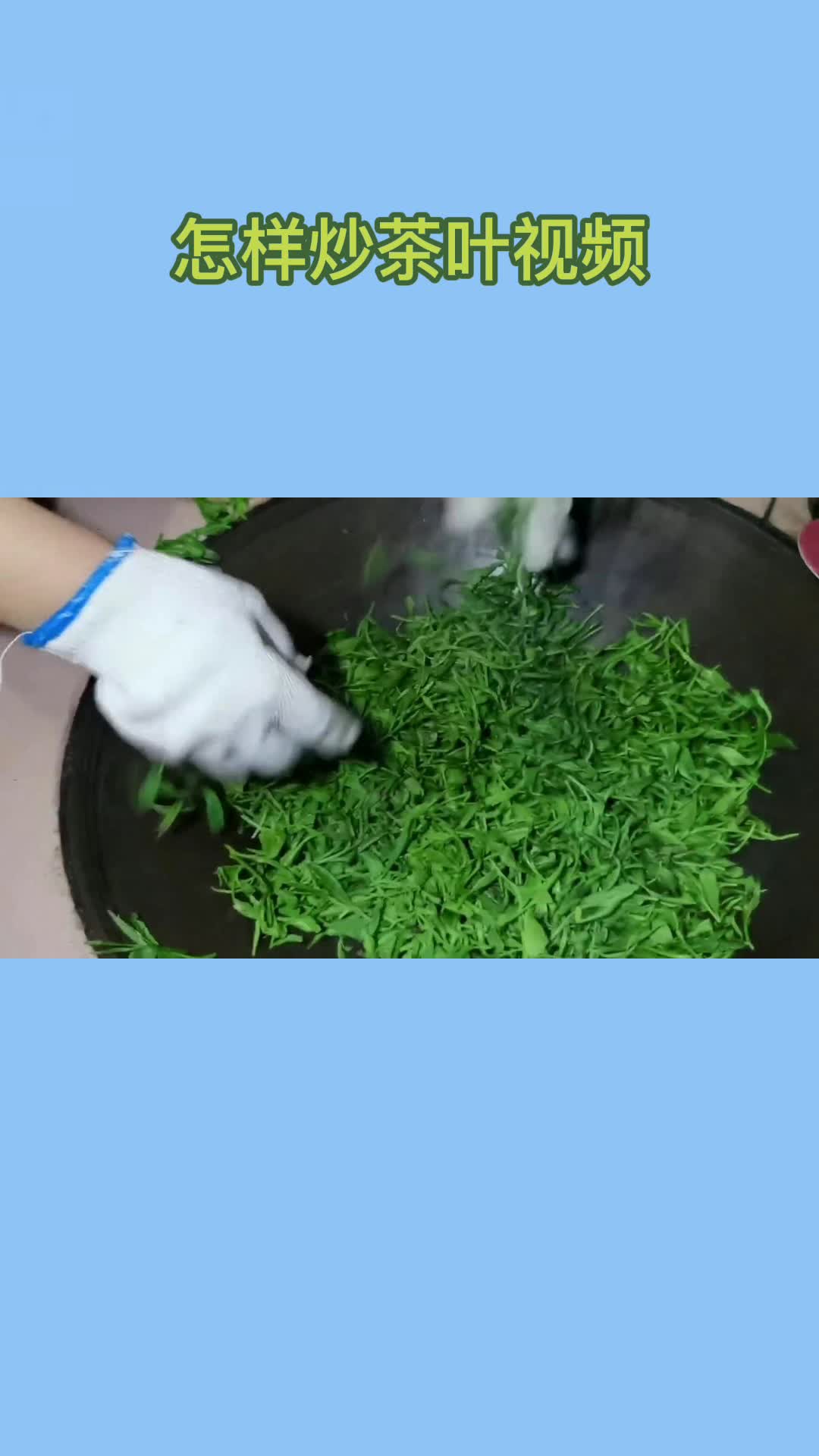 百年传承,手工炒茶,纯野生茶叶,大家可以动手试一下哦