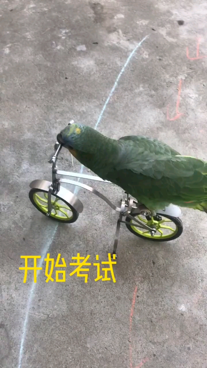 考试开始