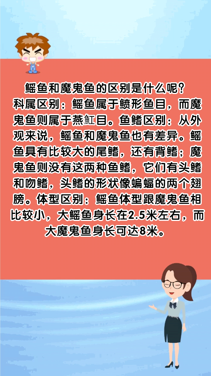 鳐鱼和魔鬼鱼的区别是什么呢?