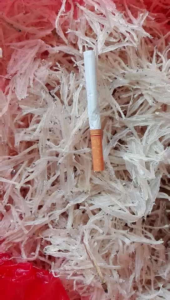 营养丰富的瓦埠湖淡水银鱼