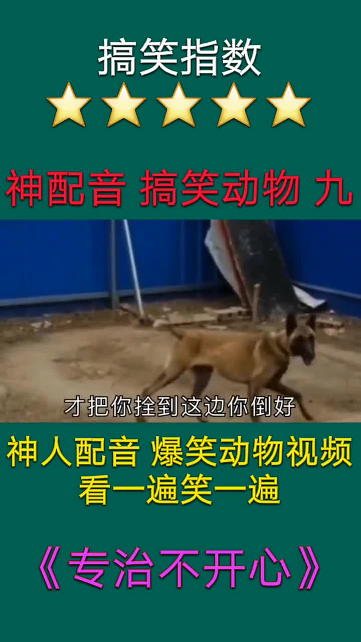 欢迎关注一代笑神,每日一段搞笑视频,让你乐不停11328