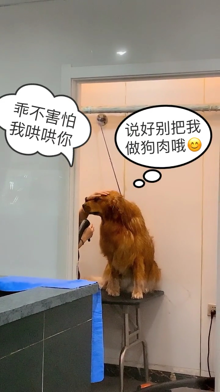 竟然有这么暖心的一幕!