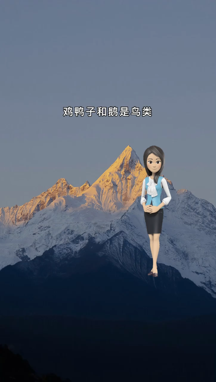 我来告诉你鸡鸭鹅属于什么类动物