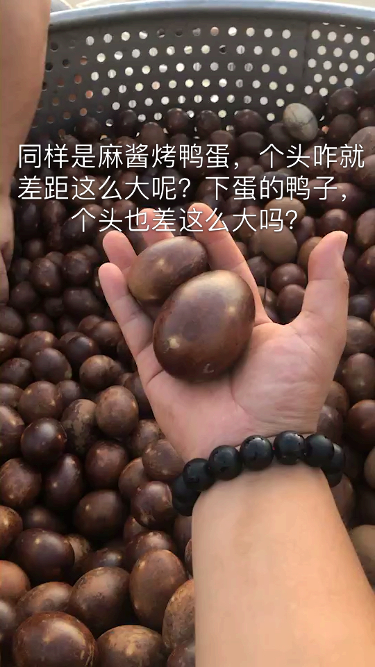 #美食#同样是麻酱烤鸭蛋,个头咋就差距这么大呢?下蛋的鸭子,个头也差这么大吗?