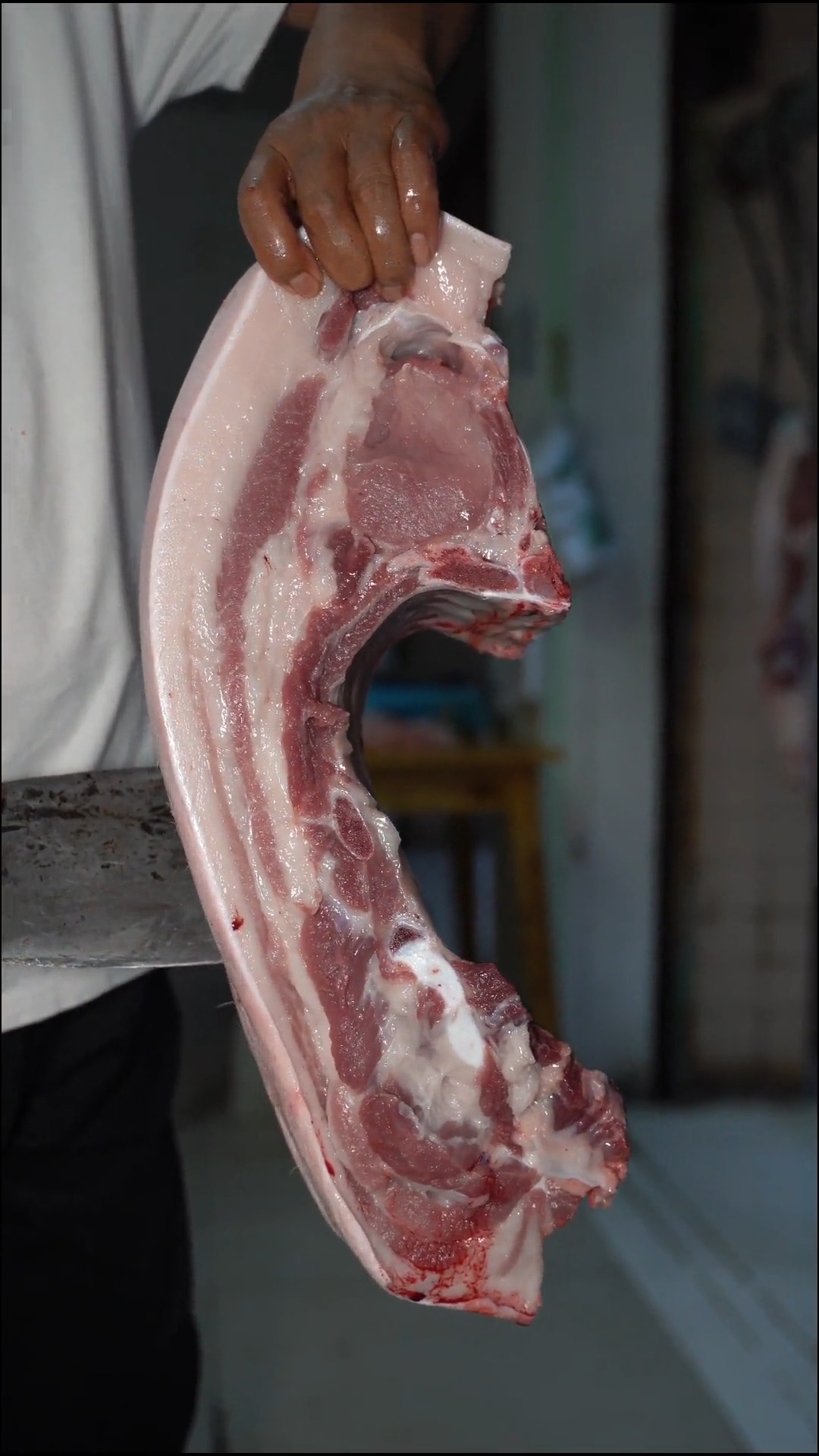 这一块就是标准的正宝肋肉