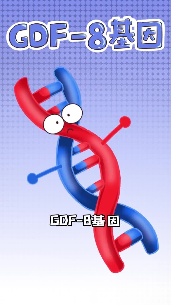 袋鼠肉是什么味道为什么袋鼠浑身都是肌肉