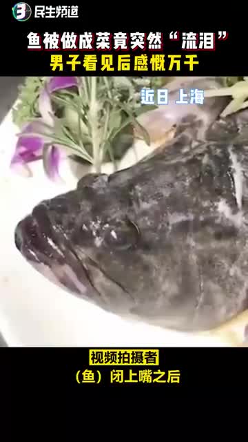 上海鱼被做成菜竟突然“流泪”,男子看见后感慨万千~鱼流泪情感
