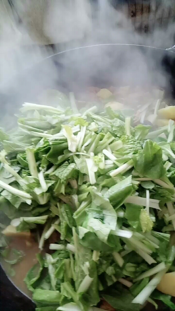 今天中午鸡叉炖香菇,土豆小白菜炖了一大锅,一会开饭。