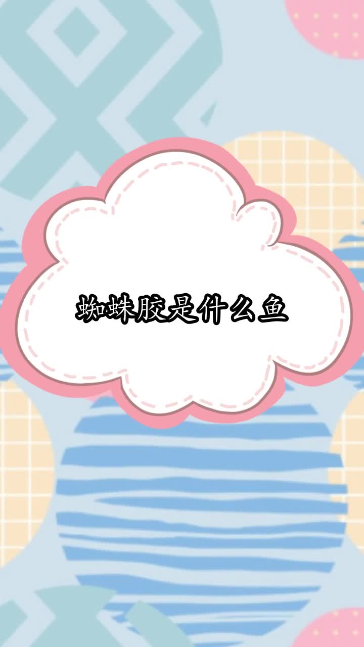 蜘蛛胶是什么鱼,你听懂了吗