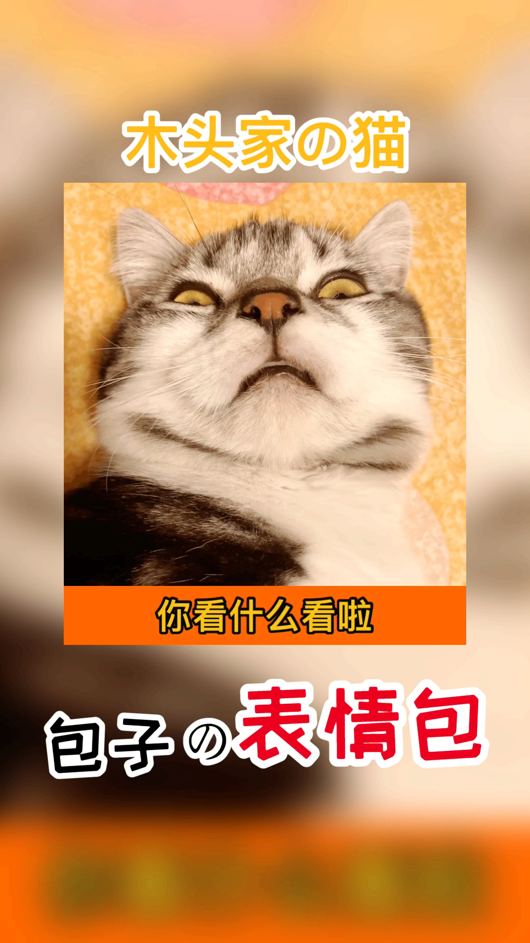 #小小爱宠萌化你#包子的表情包