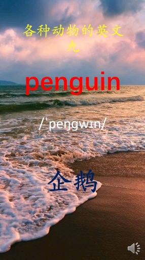 #英语#各种动物的英文九-常见海洋动物的英文